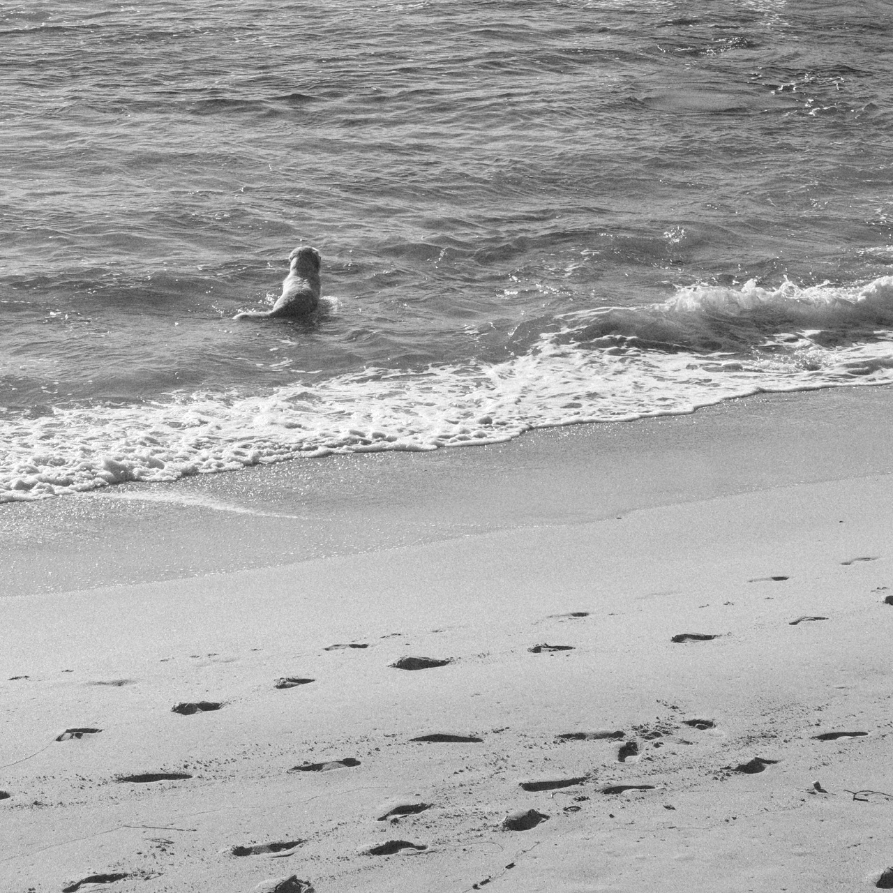 Earthsea (as Bounty Hill)